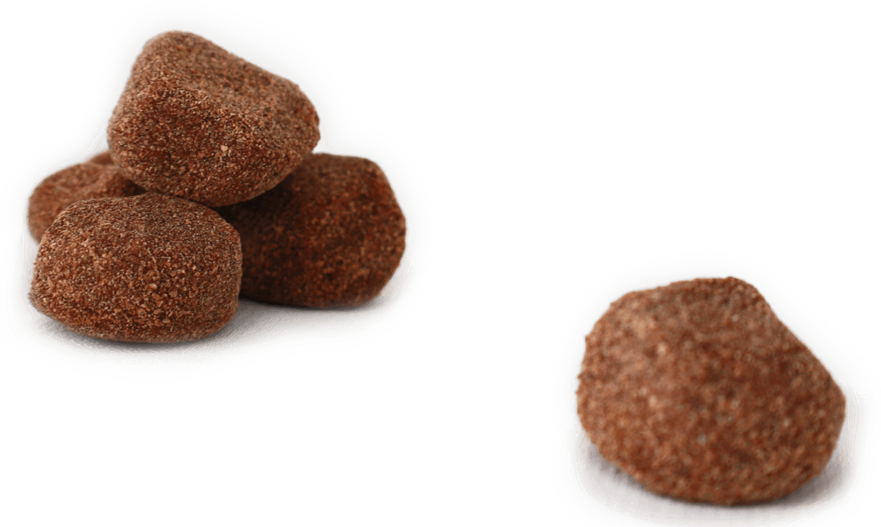 Dates transparent